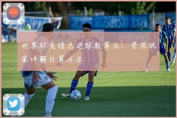 世界杯竞猜总进球数算法：资深玩家详解计算方法