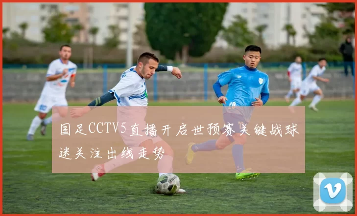 国足CCTV5直播开启世预赛关键战球迷关注出线走势